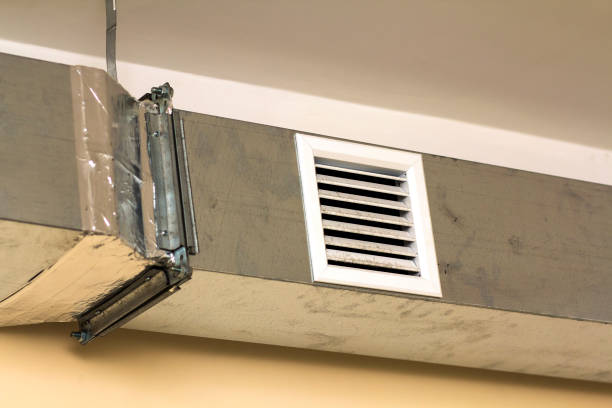 Best Air Duct Mold Removal  in Macclenny, FL